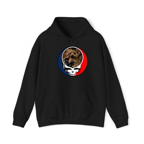 1349 - Custom Stealie Hoodie