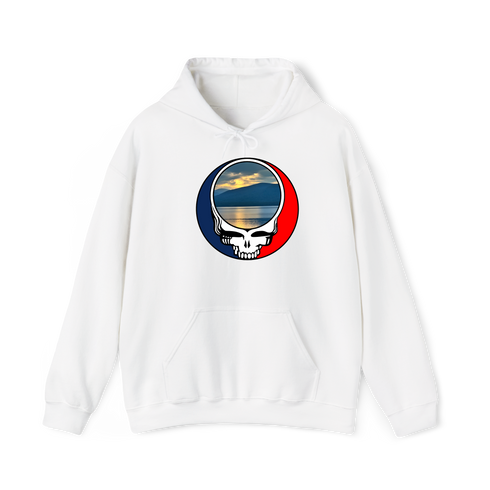 1552 - Custom Stealie Hoodie