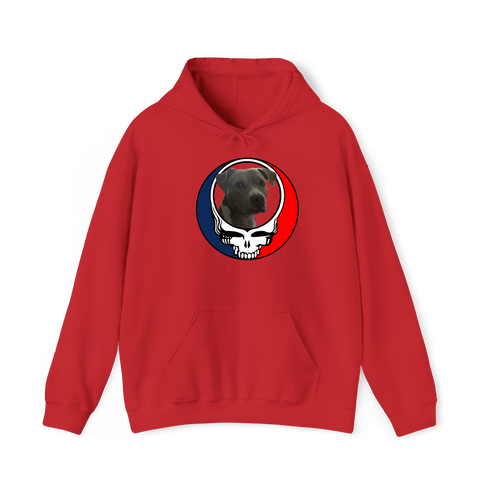 1437 - Custom Stealie Hoodie