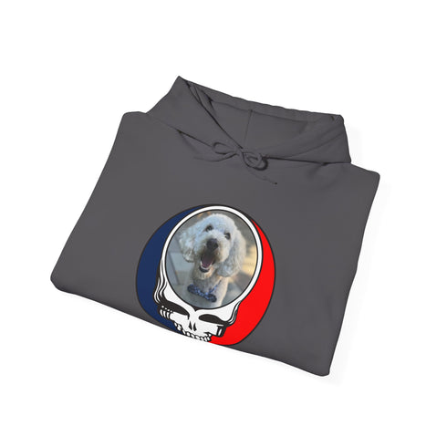 Custom Dog Premium Unisex Stealie Hoodie (77)