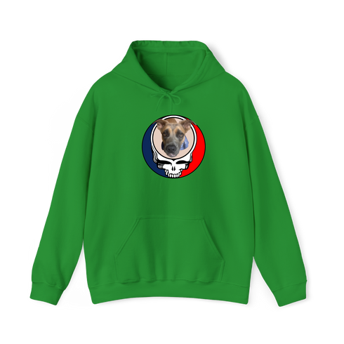 1464 - Custom Stealie Hoodie