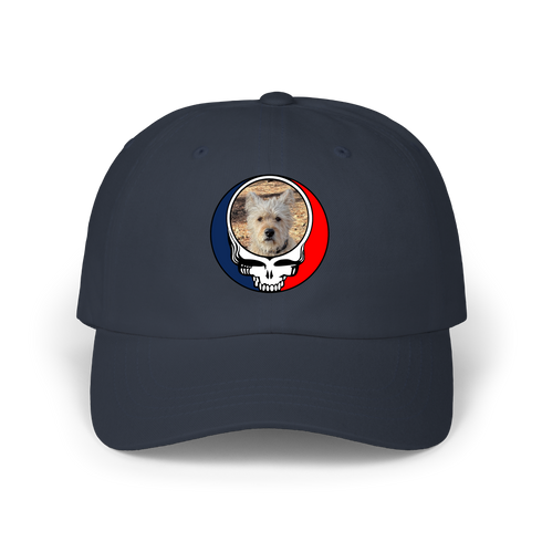 1504 - Custom Stealie Dad Hat