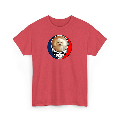 1641 - Custom Stealie T-Shirt