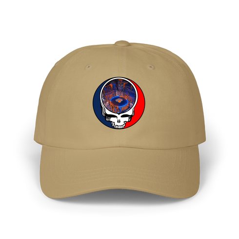 1597 - Custom Stealie Dad Hat