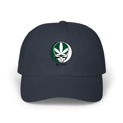 1667 - Custom Stealie Dad Hat