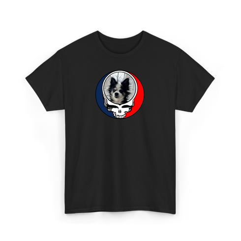 1709 - Custom Stealie T-Shirt