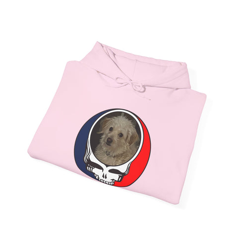 Custom Stealie Premium Unisex Stealie Hoodie (168)