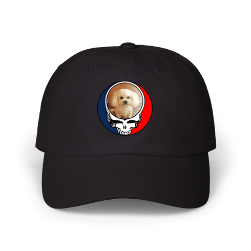 1641 - Custom Stealie Dad Hat