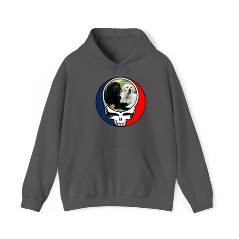 1619 - Custom Stealie Hoodie