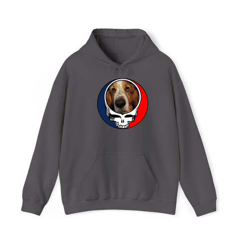 1686 - Custom Stealie Hoodie