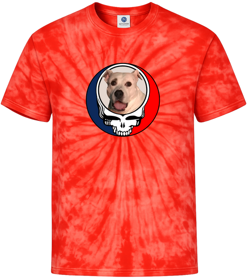 1543 - Custom Stealie Tie-Dye