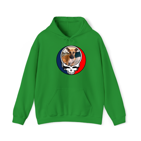 1355 - Custom Stealie Hoodie