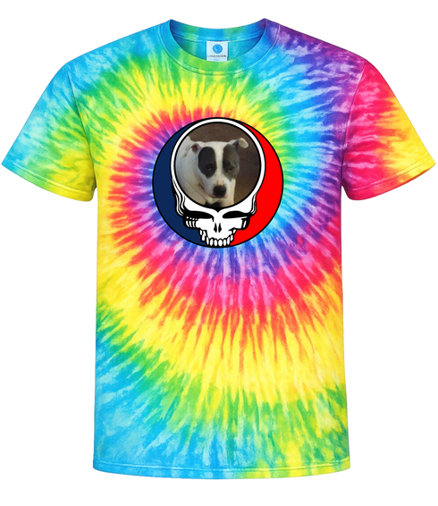 1688 - Custom Stealie Tie-Dye