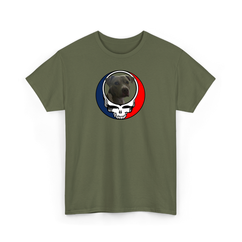 1437 - Custom Stealie T-Shirt