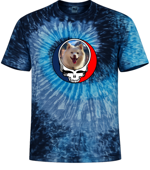 1649 - Custom Stealie Tie-Dye