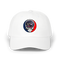 1639 - Custom Stealie Dad Hat
