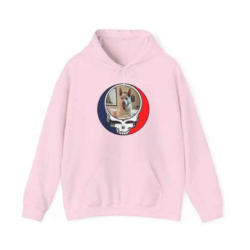 Custom Dog Premium Unisex Stealie Hoodie
