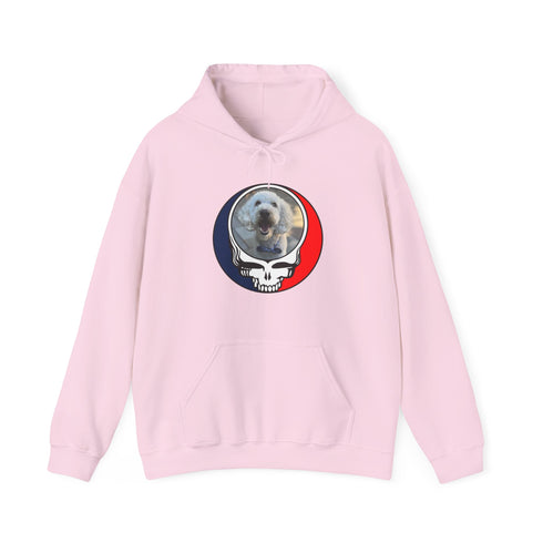 Custom Dog Premium Unisex Stealie Hoodie (77)