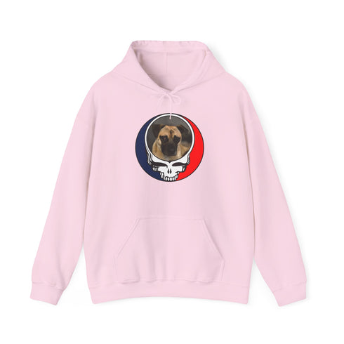 Custom Dog Stealie Premium Unisex Stealie Hoodie (167)