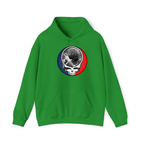1565 - Custom Stealie Hoodie