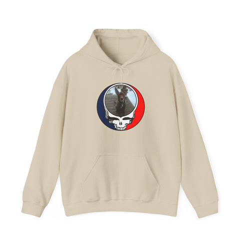 Custom Dog Premium Unisex Stealie Hoodie (116)