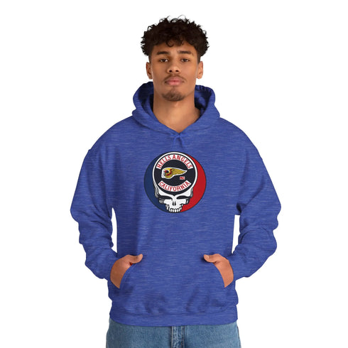 Grateful Dead - Hells Angels Stealie Unisex Heavy Blend Hoodie - StealieShop