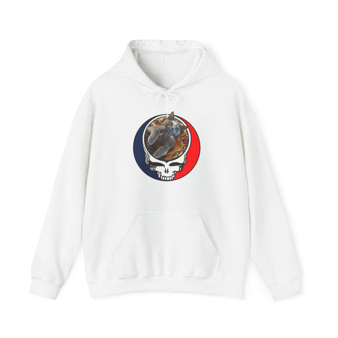 Custom Cat Stealie Premium Unisex Stealie Hoodie (5)