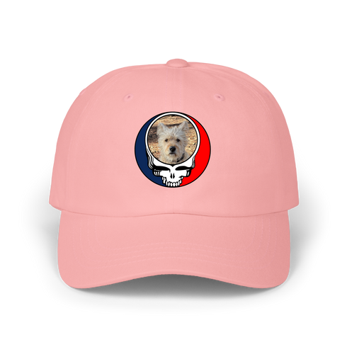 1504 - Custom Stealie Dad Hat