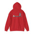 Miami Dolphins Dancing Bear Unisex Hoodie - NFL - StealieShop