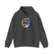 Baltimore Ravens Logo Stealie Grateful Dead Hoodie