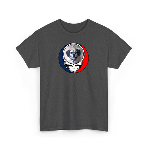 1735 - Custom Stealie T-Shirt