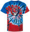 1687 - Custom Stealie Tie-Dye