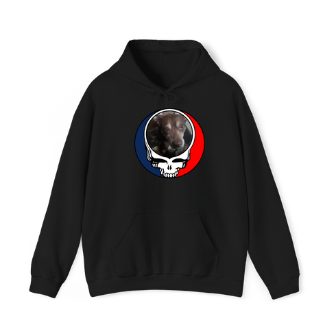 1560 - Custom Stealie Hoodie