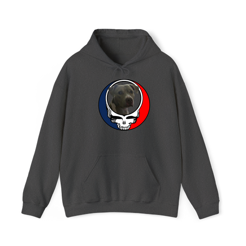 1437 - Custom Stealie Hoodie