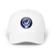 1351 - Custom Stealie Dad Hat