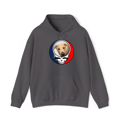 1567 - Custom Stealie Hoodie