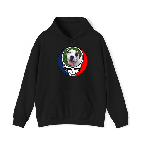 1456 - Custom Stealie Hoodie