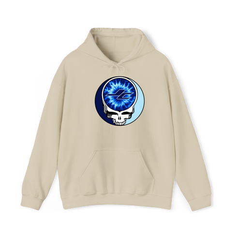 1607 - Custom Stealie Hoodie