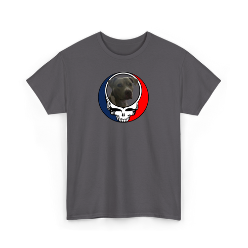 1437 - Custom Stealie T-Shirt