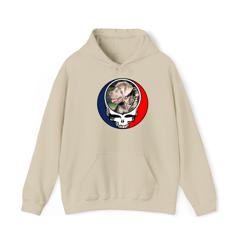 1453 - Custom Stealie Hoodie