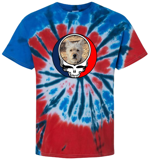 1504 - Custom Stealie Tie-Dye
