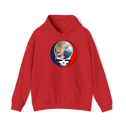 1647 - Custom Stealie Hoodie