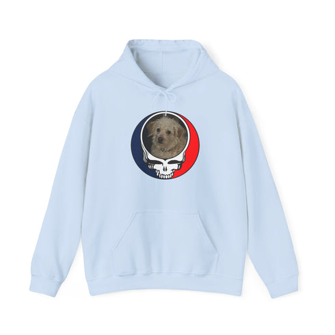 Custom Stealie Premium Unisex Stealie Hoodie (168)