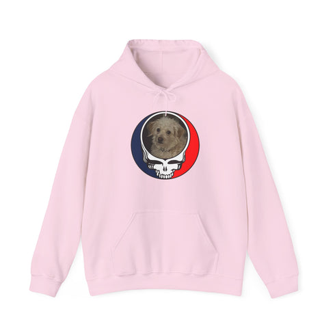Custom Stealie Premium Unisex Stealie Hoodie (168)