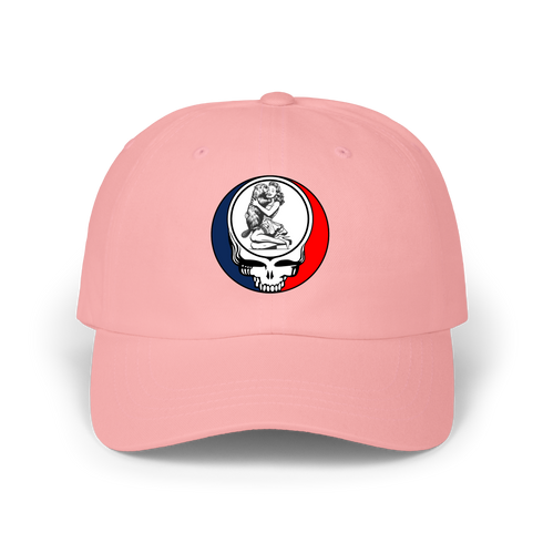 1733 - Custom Stealie Dad Hat