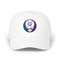 1623 - Custom Stealie Dad Hat