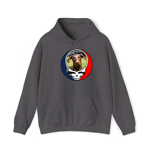 1463 - Custom Stealie Hoodie