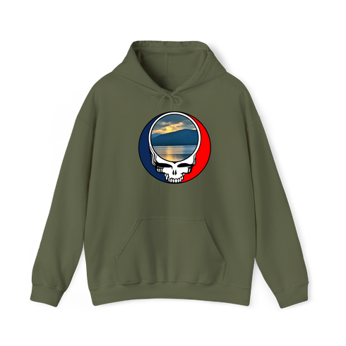 1556 - Custom Stealie Hoodie
