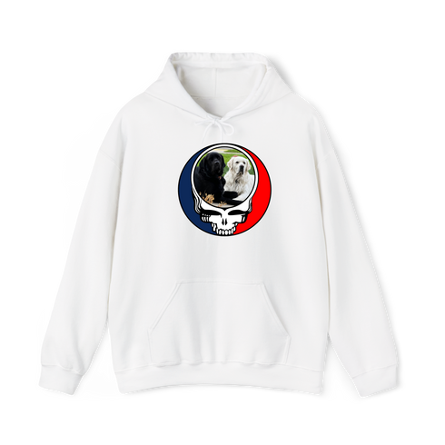 1619 - Custom Stealie Hoodie