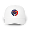 1617 - Custom Stealie Dad Hat